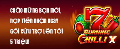 Siêu Ưu Đãi Chào Mừng Thành Viên Mới promotion image